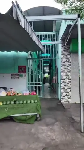 Bán 20 phòng trọ + Nhà 1 trệt 1 lầu ở Bình Chánh tphcm  Chỉ.   1 tỏi 995 tr ( ko  phát sinh  0 7 7 bảy. 0 sáu 7. tám 56 #quan7 #quan8 #haiphong  #vinhlong #tiengiang 