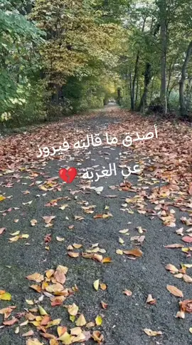 #سوريا #لايك #الامارات_العربية_المتحده🇦🇪 #فيروز#الغربة 