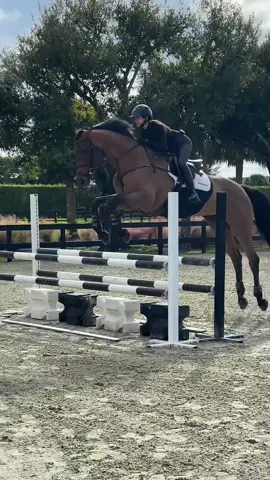 having my girl back jumping like this means everything to me 🦕♥️