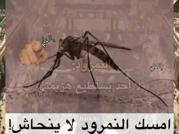 الحق النمرود لا ينحاش☝🏿 #explore #ترند #edit #ناموس #النمرود 