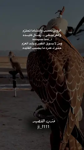 #عذب_القصيد #محمود_الجبلي #tiktokarab #قصائد_شعر_خواطر #الشعب_الصيني_ماله_حل😂😂 