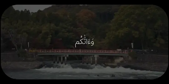 (وءاتاكم من كل ما سألتموه)  - - سورة إبراهيمي - ياسر الدوسري #ياسر_الدوسري #قرآن #quran #تلاوة_خاشعة #قران_كريم 