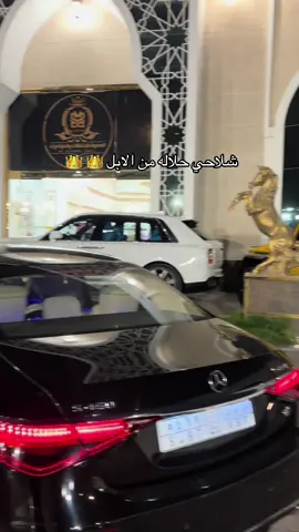 شلاحي # عفيف ضريه# الرمثيه#مطير  شلاحي مهد الذهب #