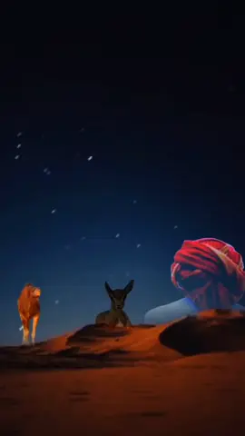 حسنك ظهر وزاخر دلال #شيلات #اكسبلور #fyp #dhrgham_3  #creatorsearchinsights 