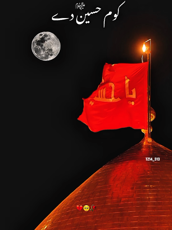 Kom Huusain ع De | Heart touching voice | View of Karbala ....🥺💔🥀 . . . . . #creatorsearchinsights #fyp #karbala #viwes #yahussain 