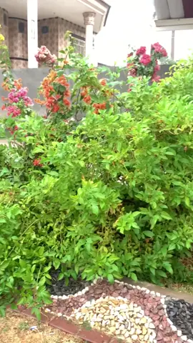 اللهم توفيقك في كل درب نسعى اليه ….♥️♥️#لايكات_الاكسبلور_متابعه #لايك__explore___ #fyp #ترند #تصميم_فيديوهات🎶🎤🎬 