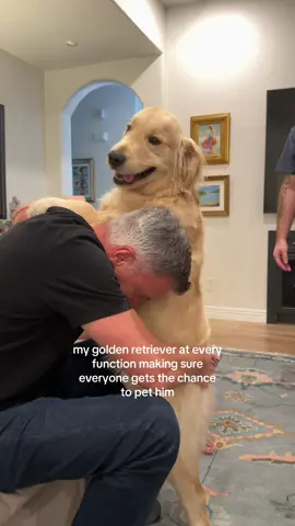 It’s da least I can do for dem 🤭 #dog #cutedog #funnydog #goldenretriever 
