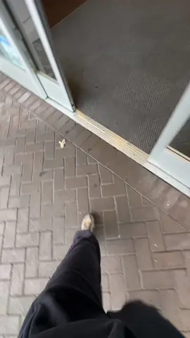 let’s restock my current addiction 