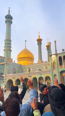 ‏يا كريمة أهل البيت #في# مقام السيده فاطمه المعصومه #لايك ومتابعه#CapCut #لايك_متابعه_اكسبلور #انيس_النفوس 