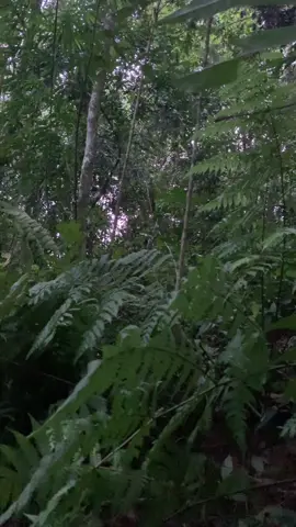 Sao trời lâu tối vậy các bác😪#tuongtac_xuhuong 