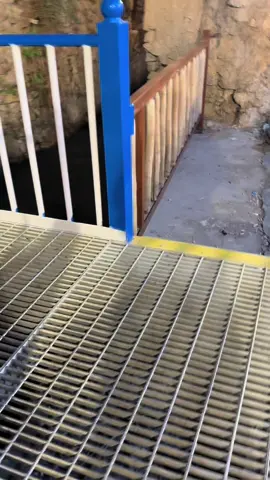 #دليم_وعز_دليم #الشعب_الصيني_ماله_حل😂😂 