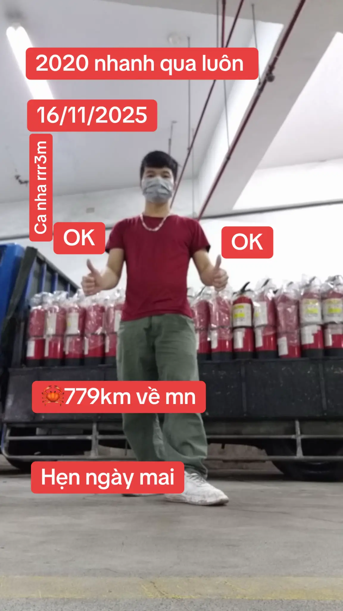 Mai se về đâu OK#phamhieu🦀taiwan #xuhuongtiktok 