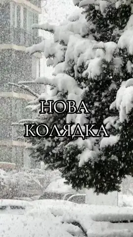 Ой ішла колядка💫