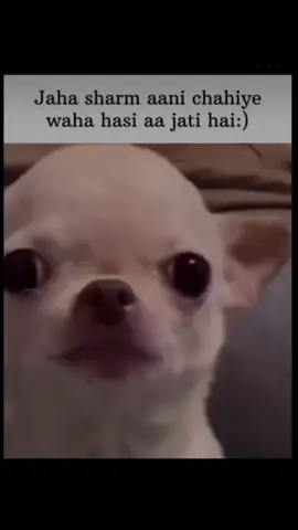 #creatorsearchinsights ##foryoupage #capcut #😂