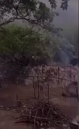 #ظفار #محليات_ظفار #اكسبلور #ترند #جبراتت📮 