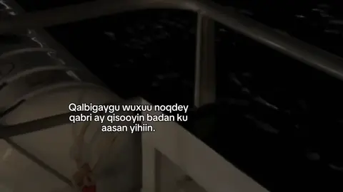 #fyp #fouryoupage #viral #hamitt🚩  21:00