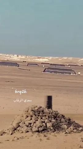 معدي المرقاب