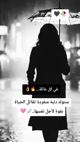 #تعبانه😴💔 وبتشكركم على دعمكم أخوتي خواتي تحياتي الكم جميعا