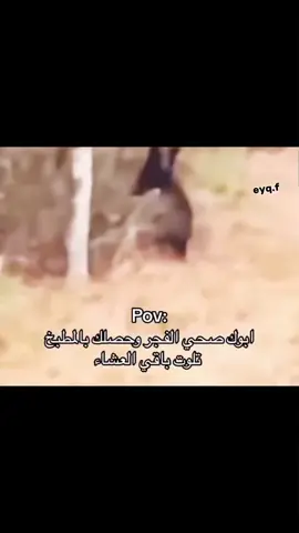 #مالي_خلق_احط_هاشتاقات🧢 