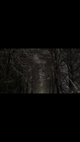 #winter #snow #fyp #xcyzba #plsdontflop 