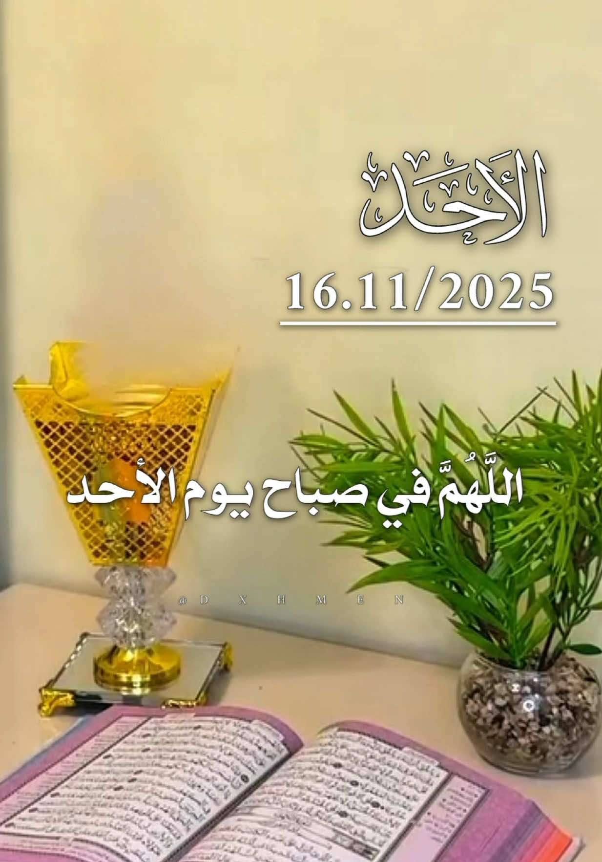 دعاء يوم الأحد 16/11/2025 🌹🌷🌺🌸 #دعاء_يوم_الاحد #صباحكم_أحلى_صباح #صباح_الخير #اللهم_امين_يارب_العالمين #دعاء_جميل 