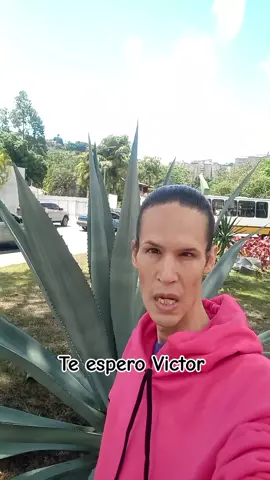 Etiqueten a Victor y díganle que lo estoy esperando. #lavozrobotica #lapencademaguey #Antonio #Victor #paratiiiiiiiiiiiiiiiiiiiiiiiiiiiiiii 