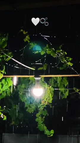 اللّٰــــهُمَ صَـــــيبَاً  نَـــآفِـــــــعَاً 🌧️🤍🫧 #القران_الكريم_راحه_نفسية😍🕋 #قران_كريم #القران_نور_الحياة #صدقه_جاريه #الانبار  @فهد صالح  @🫧🤍  @🫧🤍  