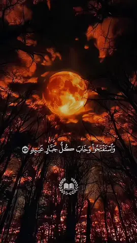 (واستفتحوا وخاب كل جبار عنيد من ورائه جهنم ويسقى من ماء صديد).. #سورة_ابراهيم#اسلام_صبحي #قران #islamic_video #tiktok 