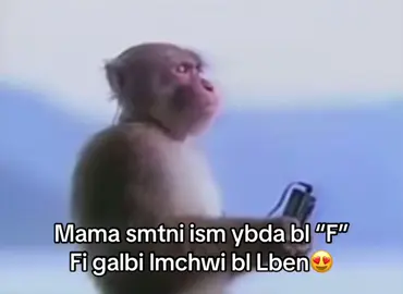 😔😔😔#fypシ゚ #algerie🇩🇿 #explore #virał #memestiktok 