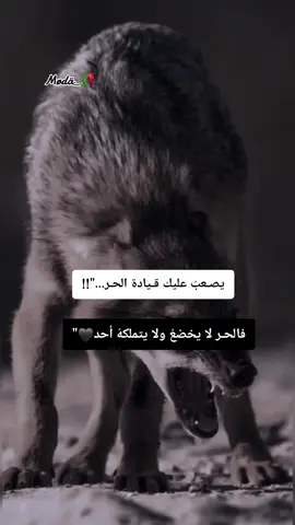 #_Wolf👑 #_segma👑🥀 #falstine_🇵🇸🇵🇸🇵🇸🇩🇿🇩🇿🇩🇿🔥🔥 #algerain #mødä_🥀🖤 