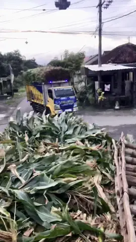 Piye matt sido melok ta gak??#