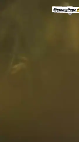 #Pes #Etmek #türk  #Askerine #yakışmaz 