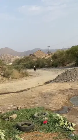 #اكسبلورexplore #خيل_وخياله🐎 #ماشاءالله_تبارك_الله_اذكروا_الله #اشعب_اصيني_مال_حال😹💔 