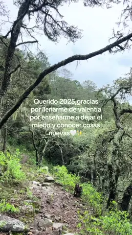 Gracias por todo❤️‍🩹#fyp #parati 