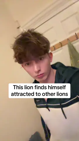 Any other lions interested 😜 #gay #mlm #lgbt 