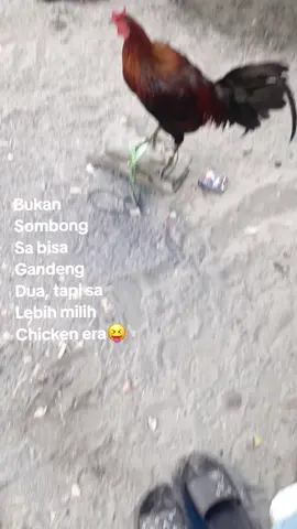 #ayamimportfilipin🇵🇭 #ayamtornado 