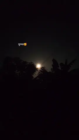 🥰🫠#😊❤️🥀for_you_pageシsong #sizuka🦋👑 #হৃদয়_এর_রাণী🌸 