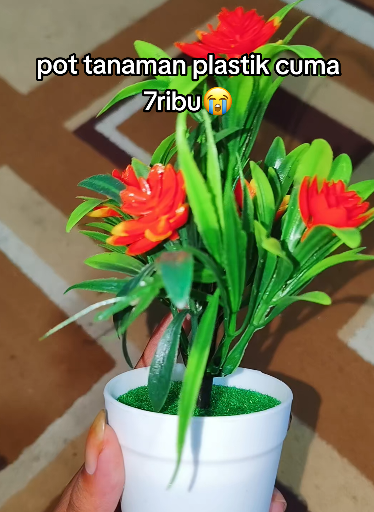 #hiasanrumah #tanamanviral #tanamanplastik #fyppppppppppppppppppppppp 