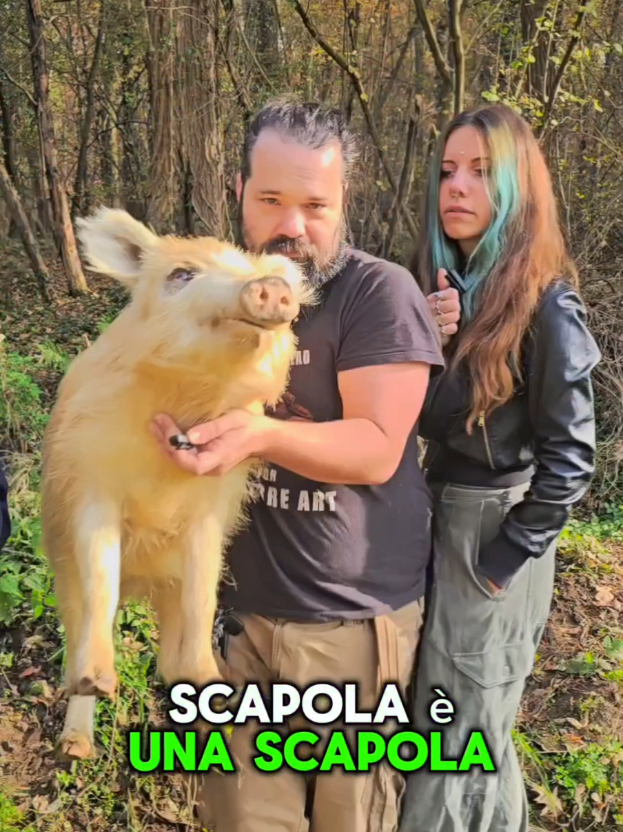 🌿Dal primo e più grande, ma sicuramente anche dal meno consueto, collettivo di Arte Macabra in Italia: Debitum Naturae Black Friday 2025💀 Cliccando su 