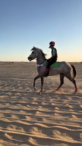الرمز و ابو يعقوب ماشاء الله 🥇🩶.  @يوسَسف خالد 🏇🏻.  #رمز🥇 #الرمز🥇 #خيل_وخياله🐎 #سباقات_الخيل #املج 