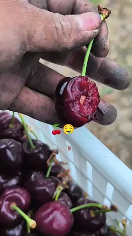 #chile🇨🇱 #bolivia🇧🇴 #paratiiiiiiiiiiiiiiiiiiiiiiiiiiiiiii #travajo 