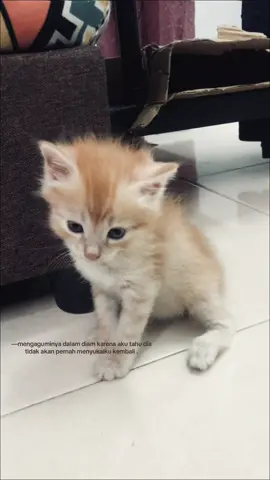 2:35 8 month 25 days #cpipi #xyzbca #trending #crush #fallinlove 