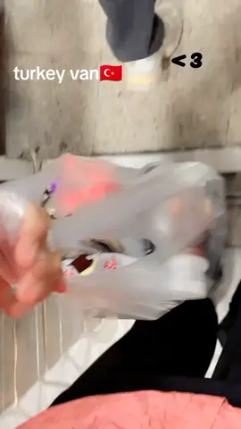 turkey van 🇹🇷 