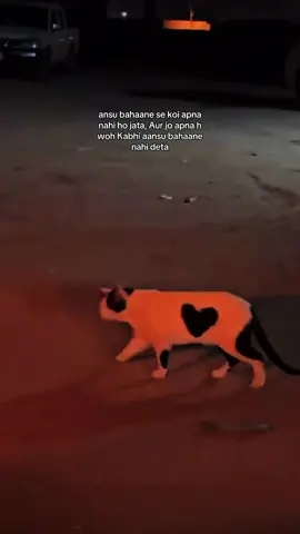 #ad #foruyou #friend #vrialvideo 