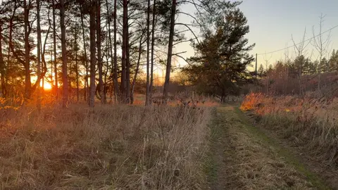 vibe? #nature #vibe #fyp 