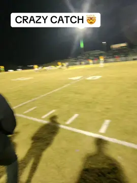 Best catch I ever seen  😮‍💨#sportscentertop10 #fyp #football 