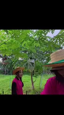 บิวบองโดนแขกรับเชิญสู้กลับ 55555#blejie #เซียนหรั่ง #pangjiewr #mable 