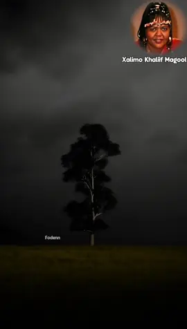 |: Xasuus wayo waayo 🎻❤️🎧 #Qaraami  #xaliimokhalifmagool  #irifiyoojacylkii #Somalioldsong #search 