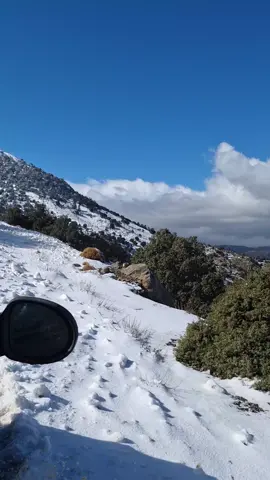 ما يهزم المرء ليست كل الصراعات التي يخوضها في حياته، ما يهزمه ليست كل الأحداث السريعة التي تمر عليه وكل القرارت المصيرية التي ينبغي علية اتخاذها في وقت قياسي، الهزائم بالطبع مؤلمة، و مواصلة السعي رغم أنعدام الطاقة وغياب النتائج كل هذه الأشياء مؤلمة وصعبة.. لكن أكثر ما يهزم المرء هو أن كل هذه الصراعات والأحداث والمحاولات لأجل تحقيق أحلام بسيطة لا تستحق كل هذه المعاناة، ورغم بساطتها قد لا تتحقق . . . . . . . . . #أطلس_المغرب #أمازيغ #morocco🇲🇦 