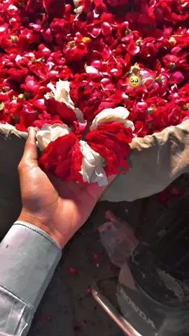 کبھی ذکر تو کرنا میرا اُس کے سامنے اُسکے چہرے کی رنگت بتائے گی مقام میرا🥹❤️‍🩹#foryou 